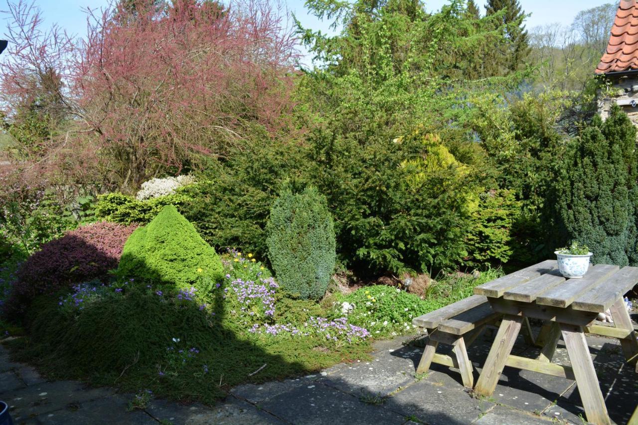 Bohemianbreezebreaks Bed and Breakfast Thornton Dale Εξωτερικό φωτογραφία